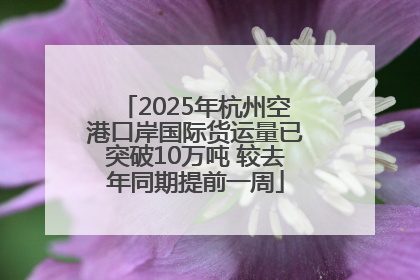 2025年杭州空港口岸国际货运量已突破10万吨 较去年同期提前一周