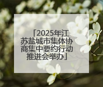 2025年江苏盐城市集体协商集中要约行动推进会举办