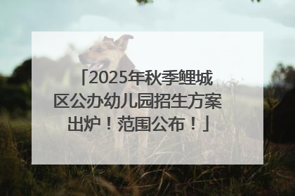 2025年秋季鲤城区公办幼儿园招生方案出炉！范围公布！