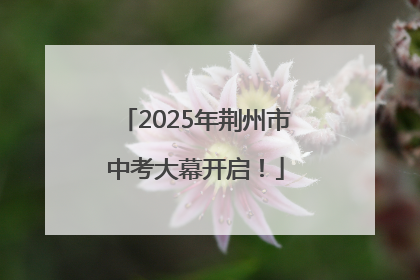 2025年荆州市中考大幕开启！