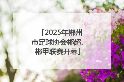 2025年郴州市足球协会郴超、郴甲联赛开幕