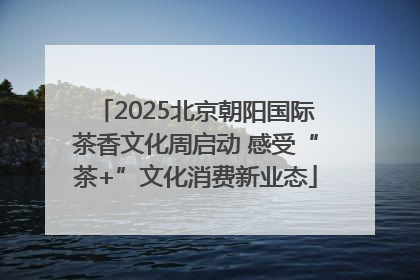 2025北京朝阳国际茶香文化周启动 感受“茶+”文化消费新业态