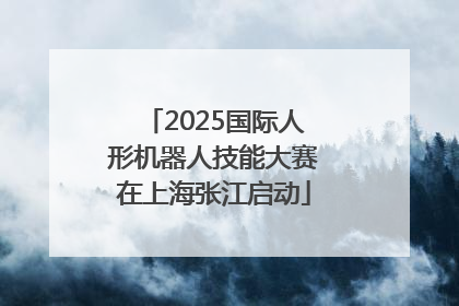 2025国际人形机器人技能大赛在上海张江启动