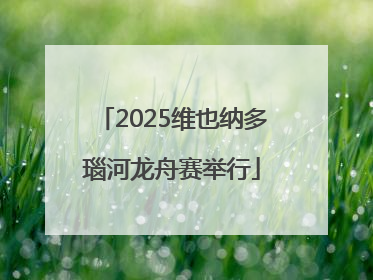 2025维也纳多瑙河龙舟赛举行