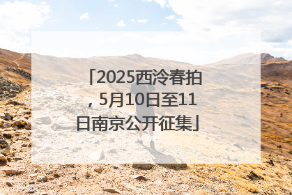 2025西泠春拍，5月10日至11日南京公开征集