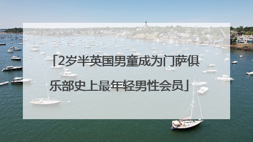 2岁半英国男童成为门萨俱乐部史上最年轻男性会员