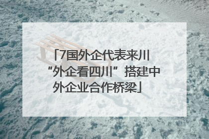 7国外企代表来川 “外企看四川”搭建中外企业合作桥梁