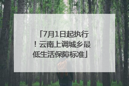 7月1日起执行！云南上调城乡最低生活保障标准