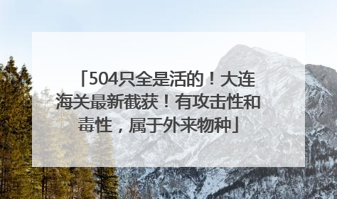 504只全是活的！大连海关最新截获！有攻击性和毒性，属于外来物种