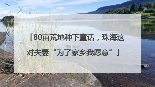 80亩荒地种下童话，珠海这对夫妻“为了家乡我愿意”