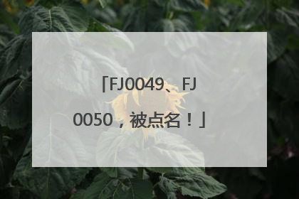 FJ0049、FJ0050，被点名！