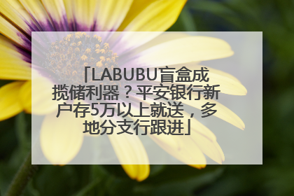 LABUBU盲盒成揽储利器？平安银行新户存5万以上就送，多地分支行跟进